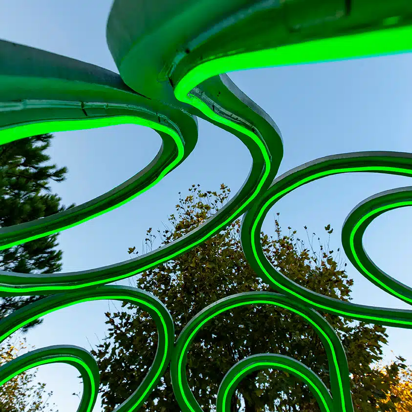 PAULO ARRAINO - Biophilia 2.0